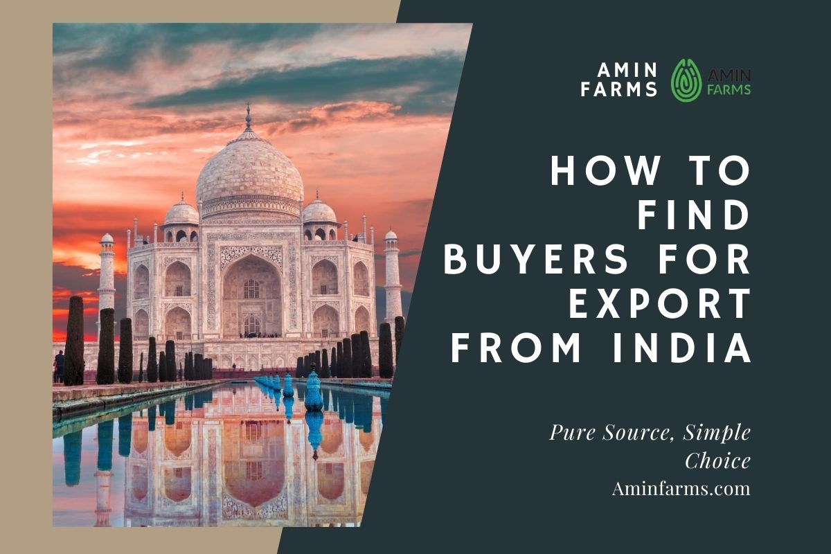 How to Find Buyers for Export from India