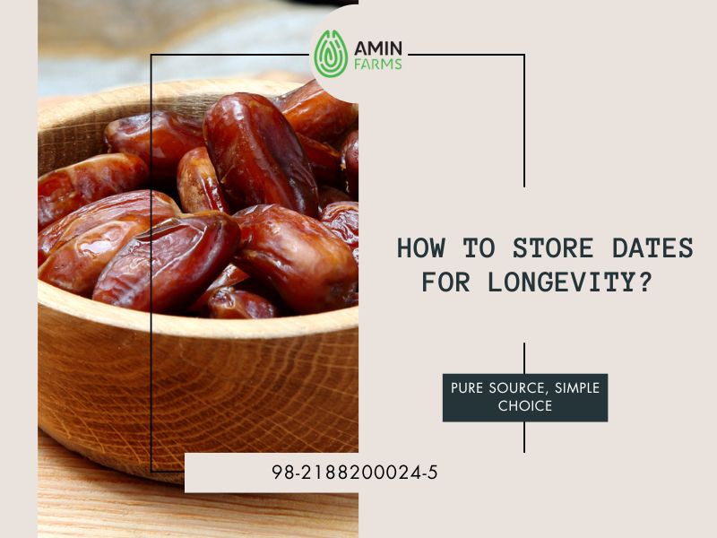 How to Store Dates for Longevity