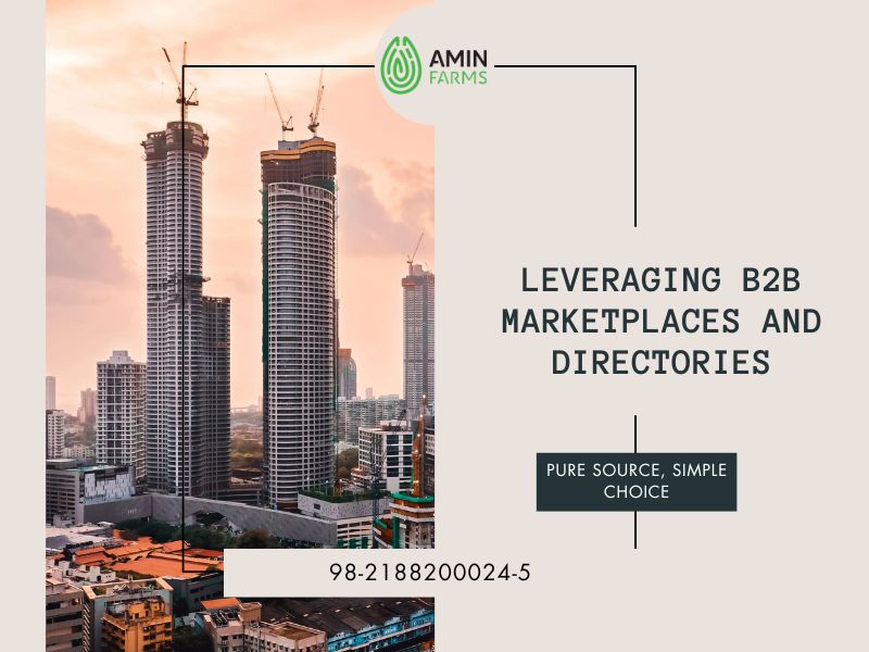 Leveraging B2B Marketplaces and Directories