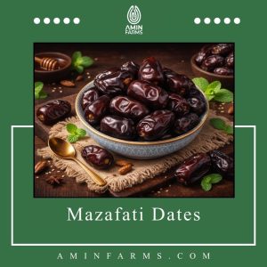 Mazafati Dates