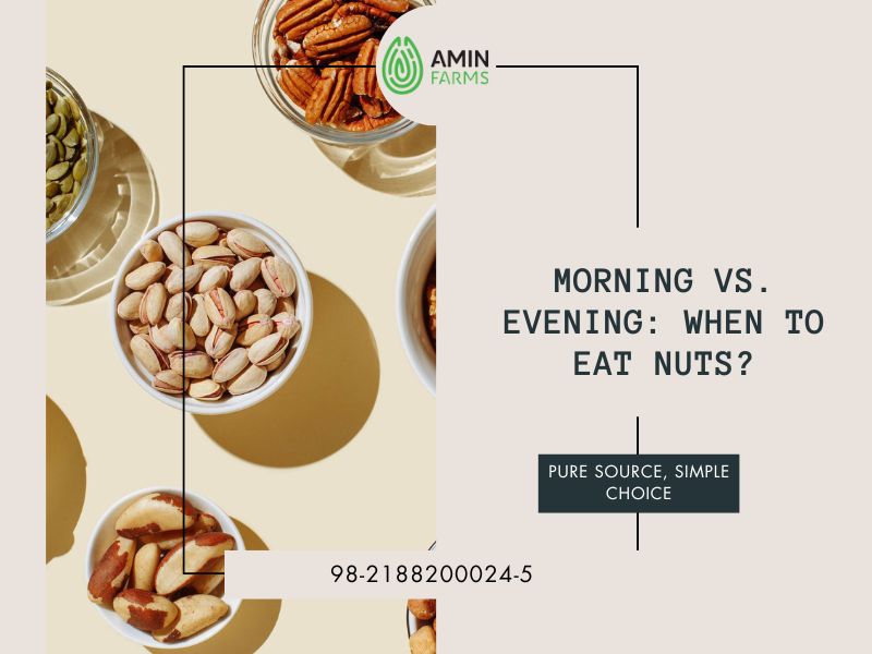Morning vs. Evening When to Eat Nuts