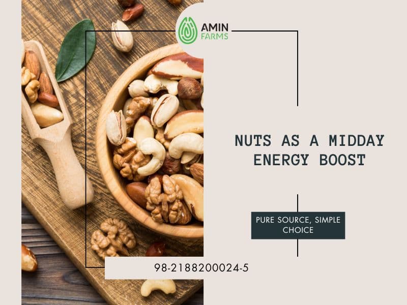 Nuts as a Midday Energy Boost