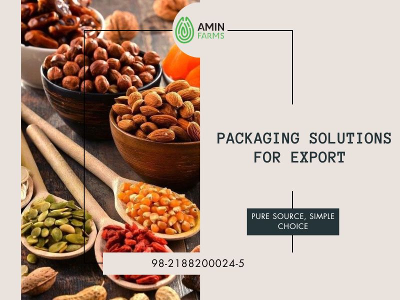 Packaging Solutions for Export