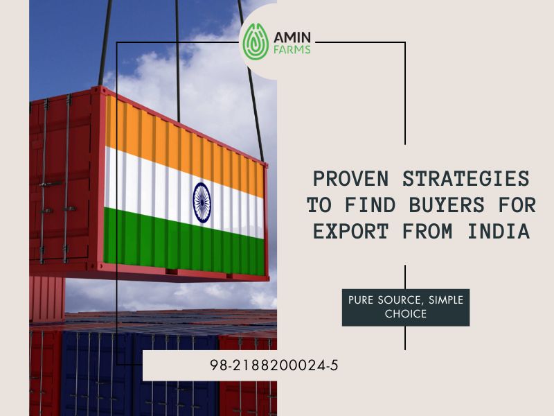 Proven Strategies to Find Buyers for Export from India