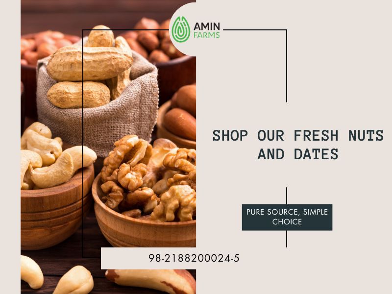 Shop Our Fresh Nuts and Dates