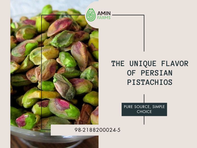 The Unique Flavor of Persian Pistachios