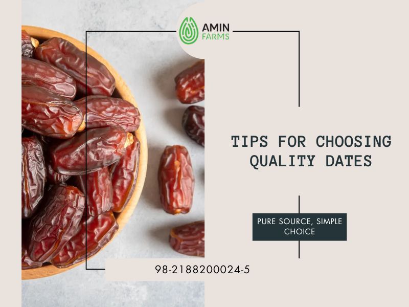 Tips for Choosing Quality Dates