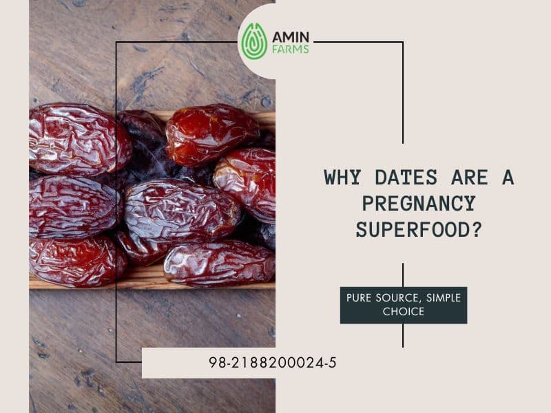 Why Dates Are a Pregnancy Superfood