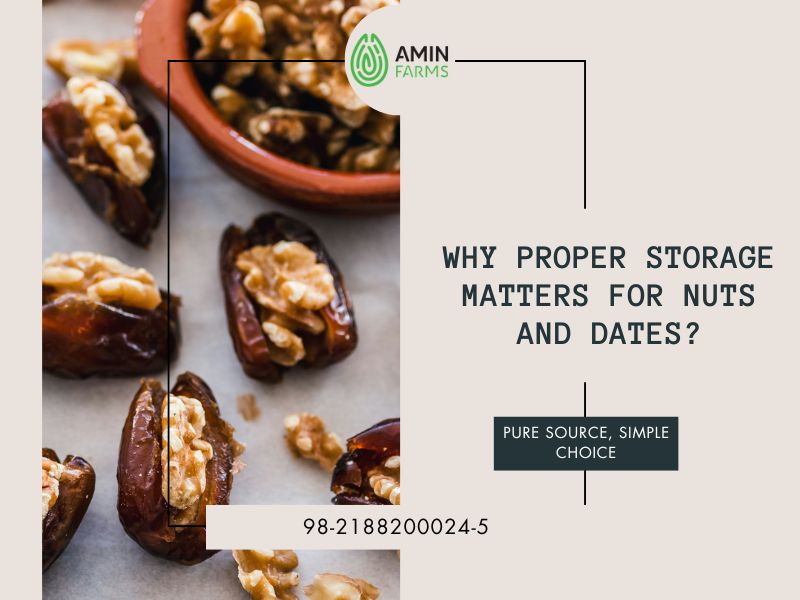 Why Proper Storage Matters for Nuts and Dates