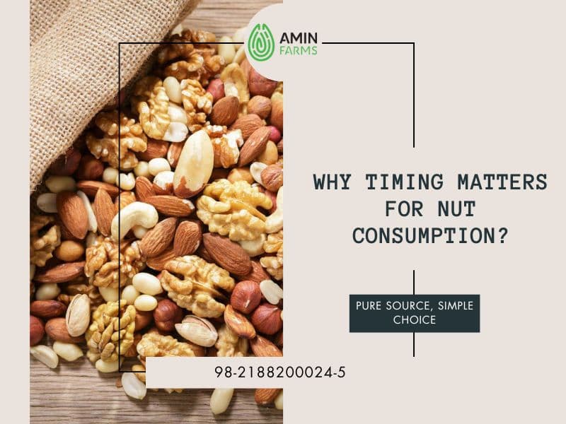 Why Timing Matters for Nut Consumption