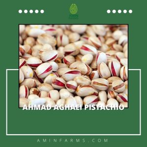 Ahmad Aghaei Pistachio