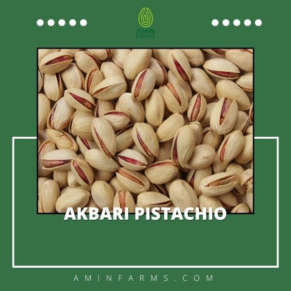 Akbari Pistachio