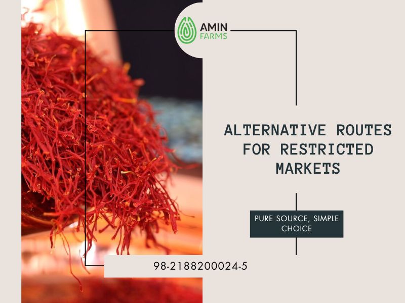 Alternative Routes for Restricted Markets