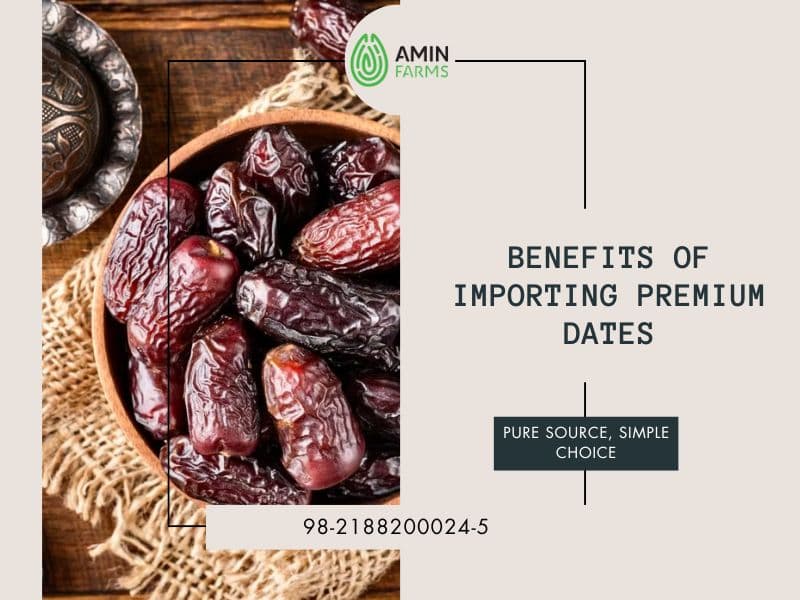 Benefits of Importing Premium Dates