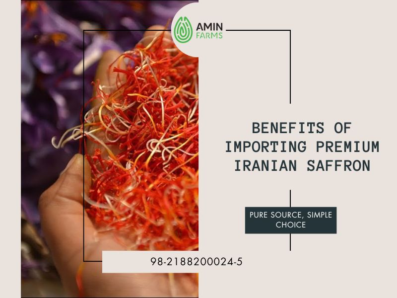 Benefits of Importing Premium Iranian Saffron