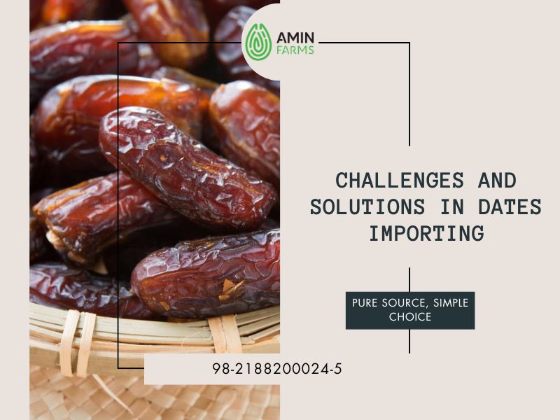 Challenges and Solutions in Dates Importing
