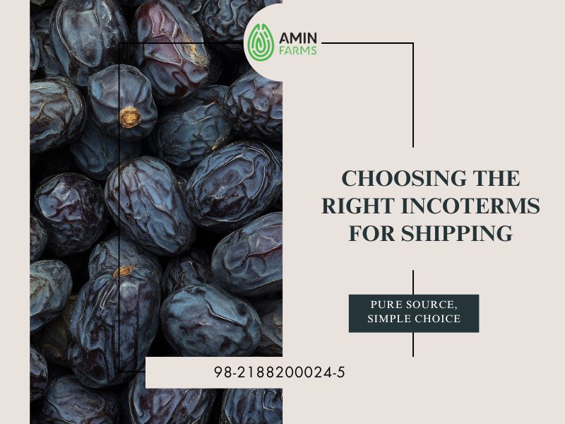 Choosing the Right Incoterms for Shipping