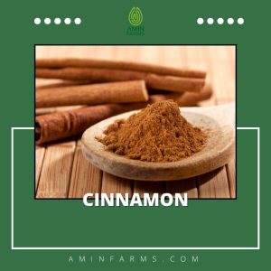 Cinnamon