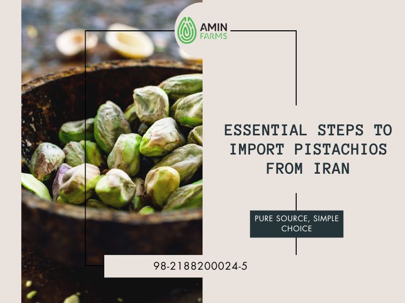 Essential Steps to Import Pistachios from Iran