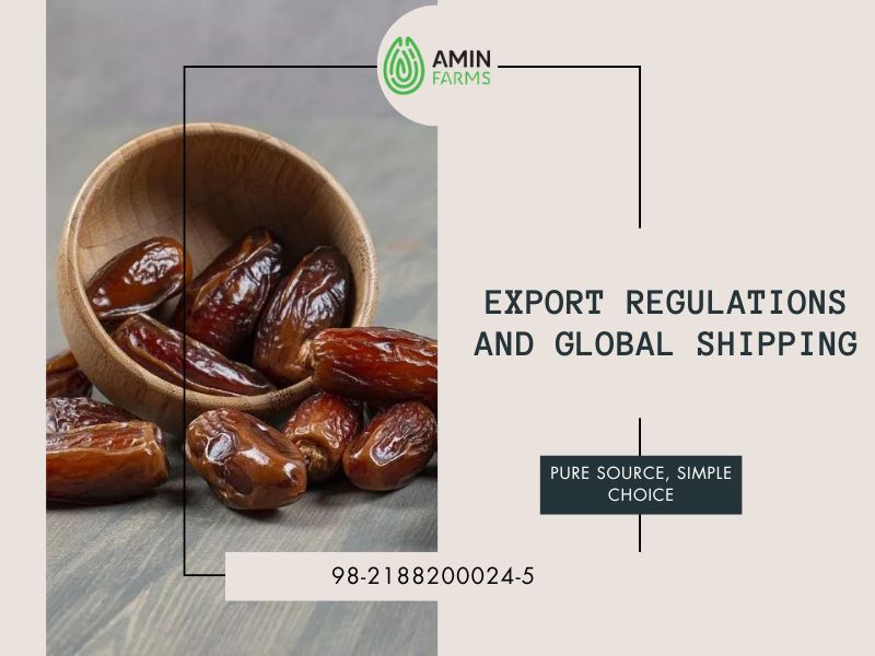 Export Regulations and Global Shipping