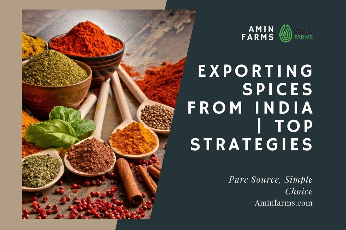 Exporting Spices from India