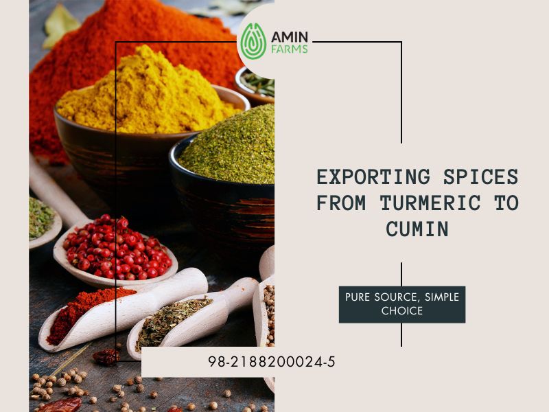Exporting Spices from Turmeric to Cumin