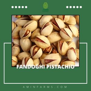 Fandoghi Pistachio