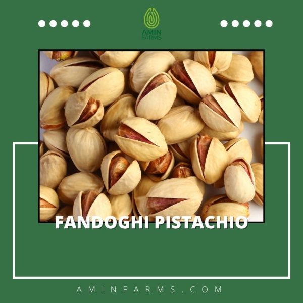 Fandoghi Pistachio