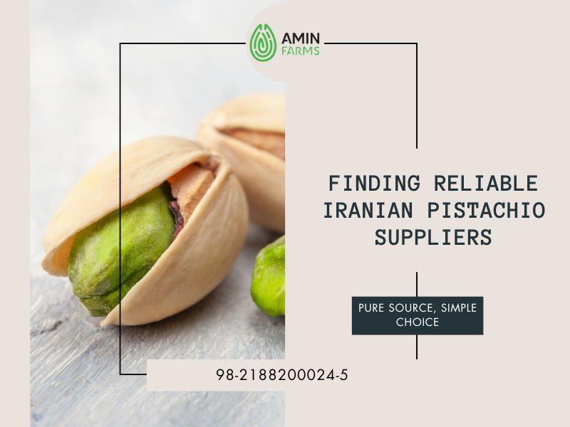 Finding Reliable Iranian Pistachio Suppliers