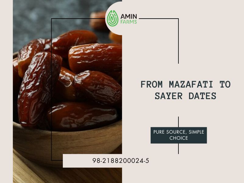 From Mazafati to Sayer Dates