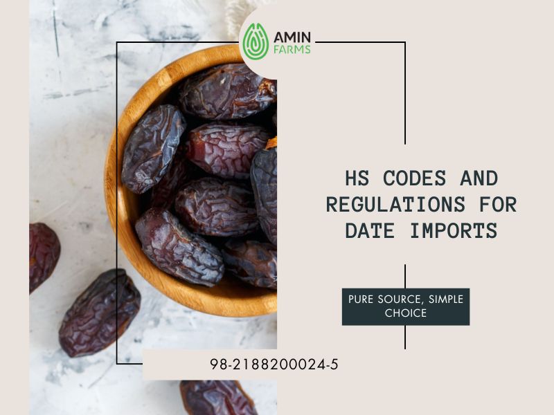 HS Codes and Regulations for Date Imports