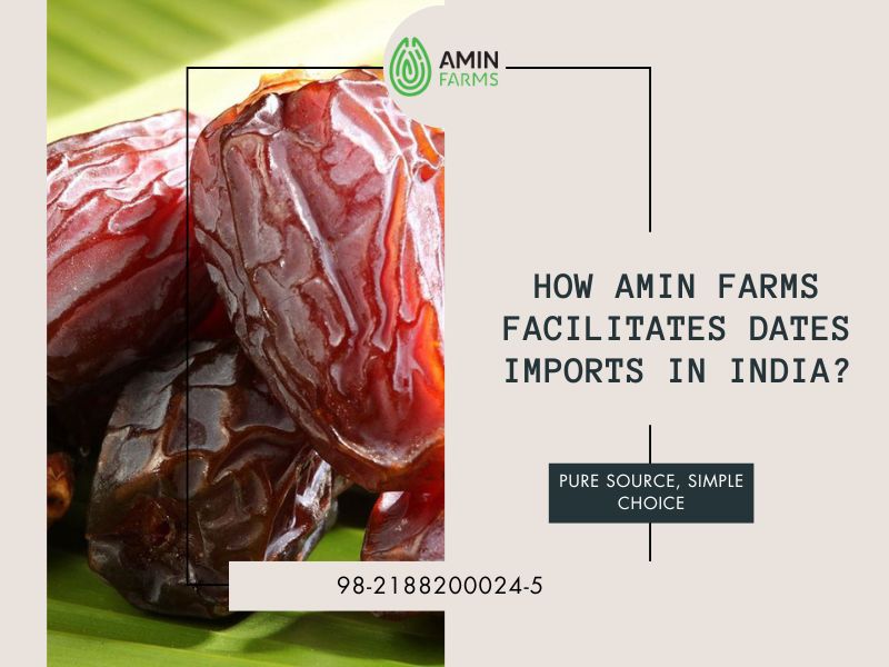 How Amin Farms Facilitates Dates Imports in India