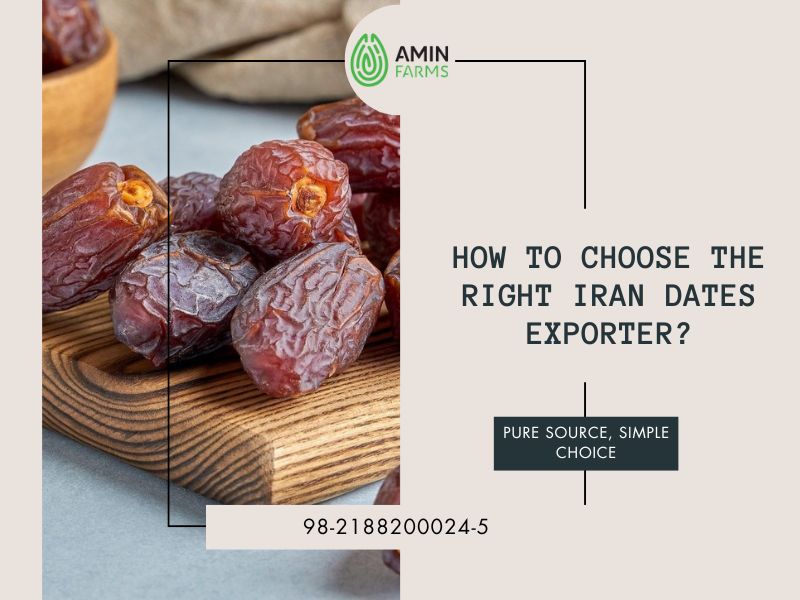How to Choose the Right Iran Dates Exporter