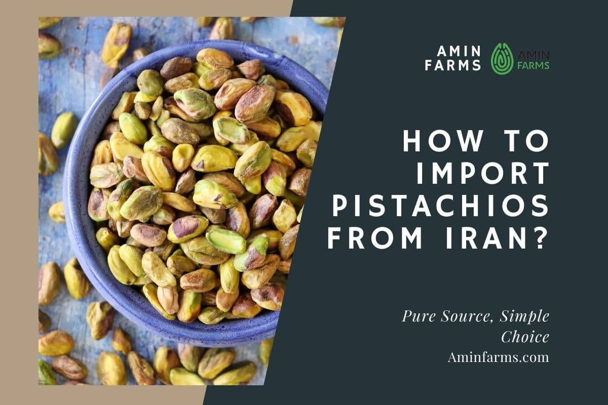 How to Import Pistachios from Iran