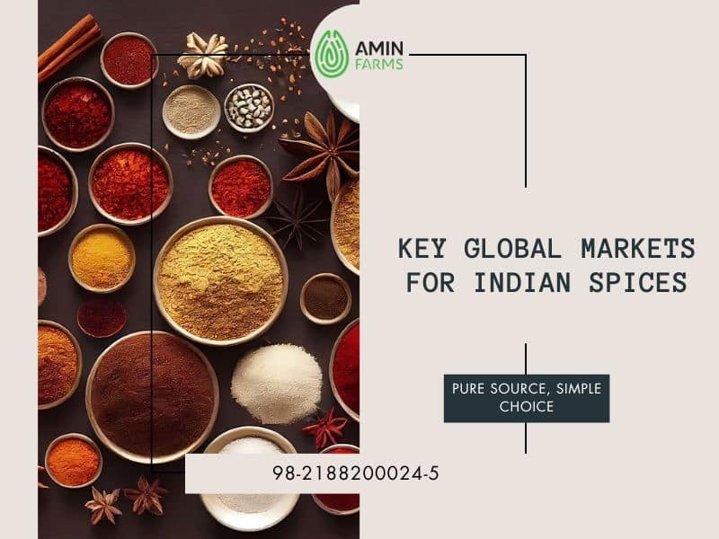 Key Global Markets for Indian Spices