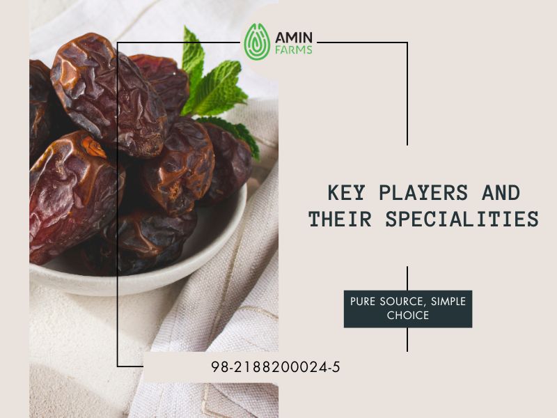 Key Players and Their Specialities