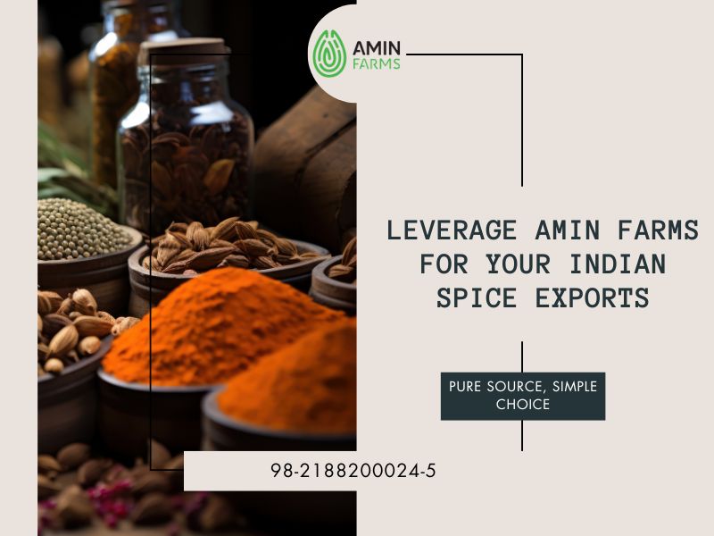 Leverage Amin Farms for Your Indian Spice Exports
