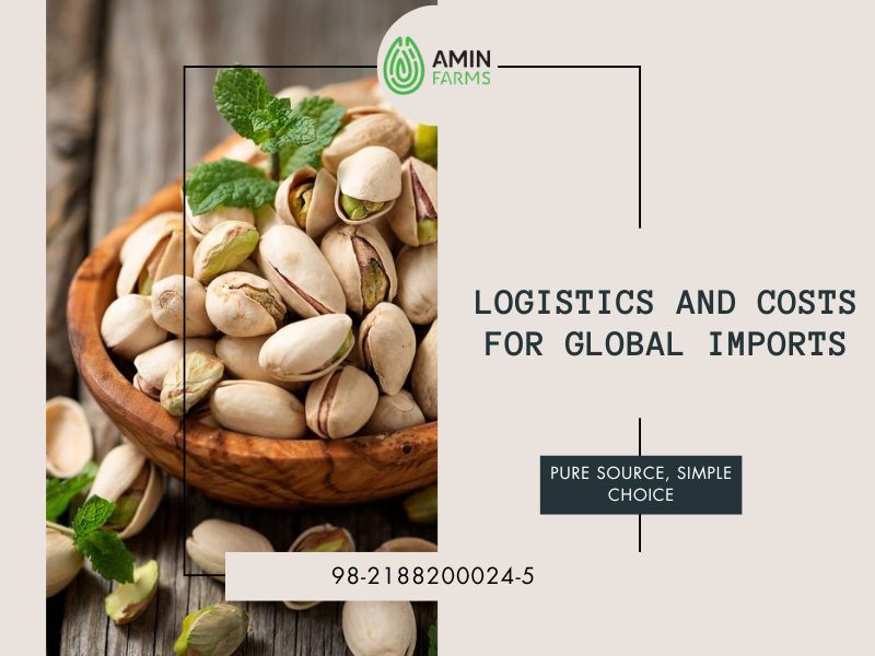 Logistics and Costs for Global Imports