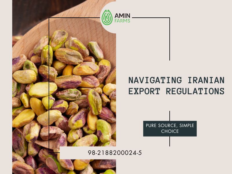 Navigating Iranian Export Regulations