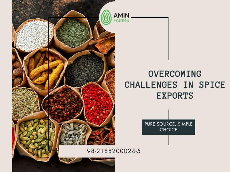 Overcoming Challenges in Spice Exports