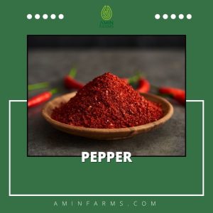 Pepper