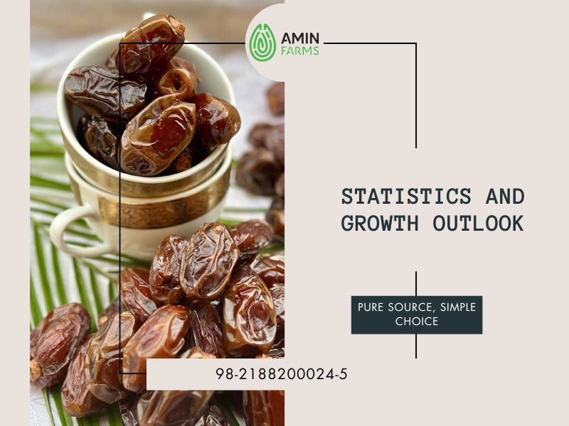 Statistics and Growth Outlook