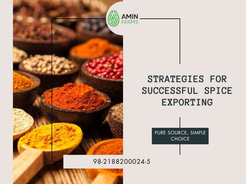 Strategies for Successful Spice Exporting