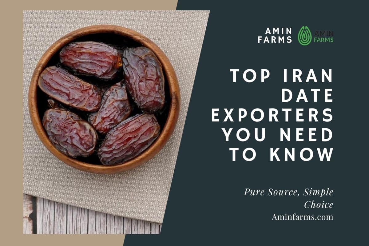Top Iran Date Exporters