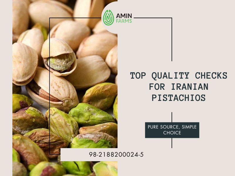 Top Quality Checks for Iranian Pistachios