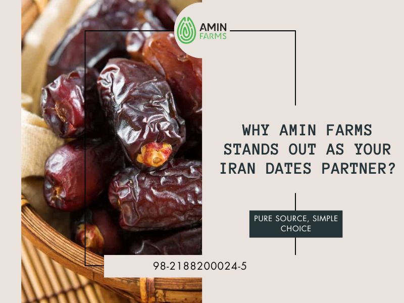 Why Amin Farms Stands Out as Your Iran Dates Partner