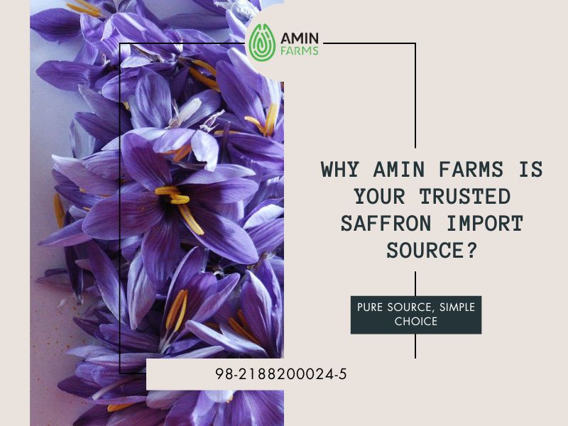 Why Amin Farms is Your Trusted Saffron Import Source