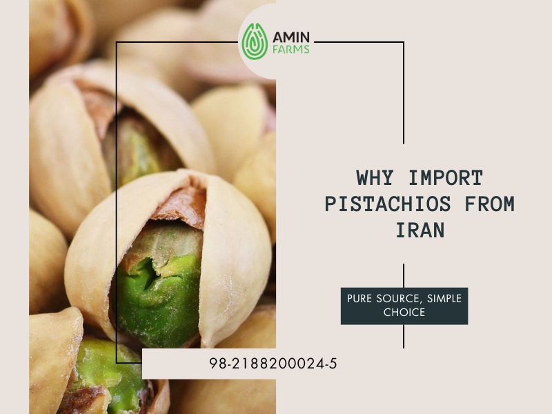 Why Import Pistachios from Iran