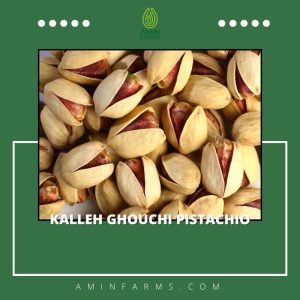 kalleh ghouchi pistachio
