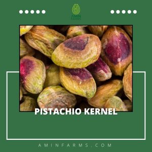 pistachio kernel